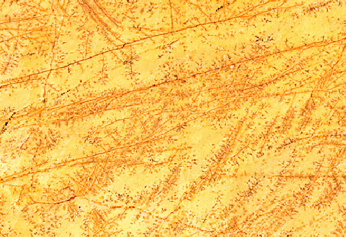 Marmol y Granito Importado - Marmol y Granito Importado